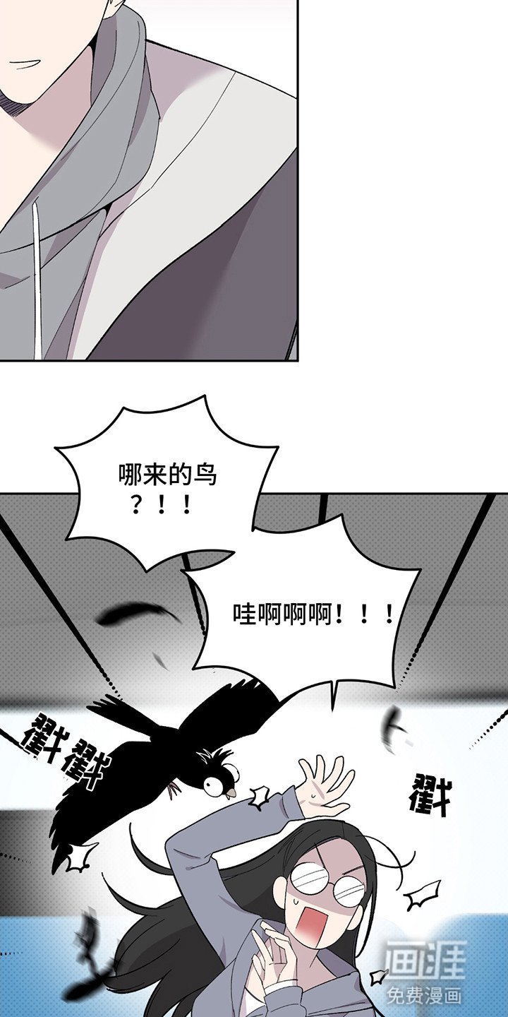 第2章：乌鸦盗贼