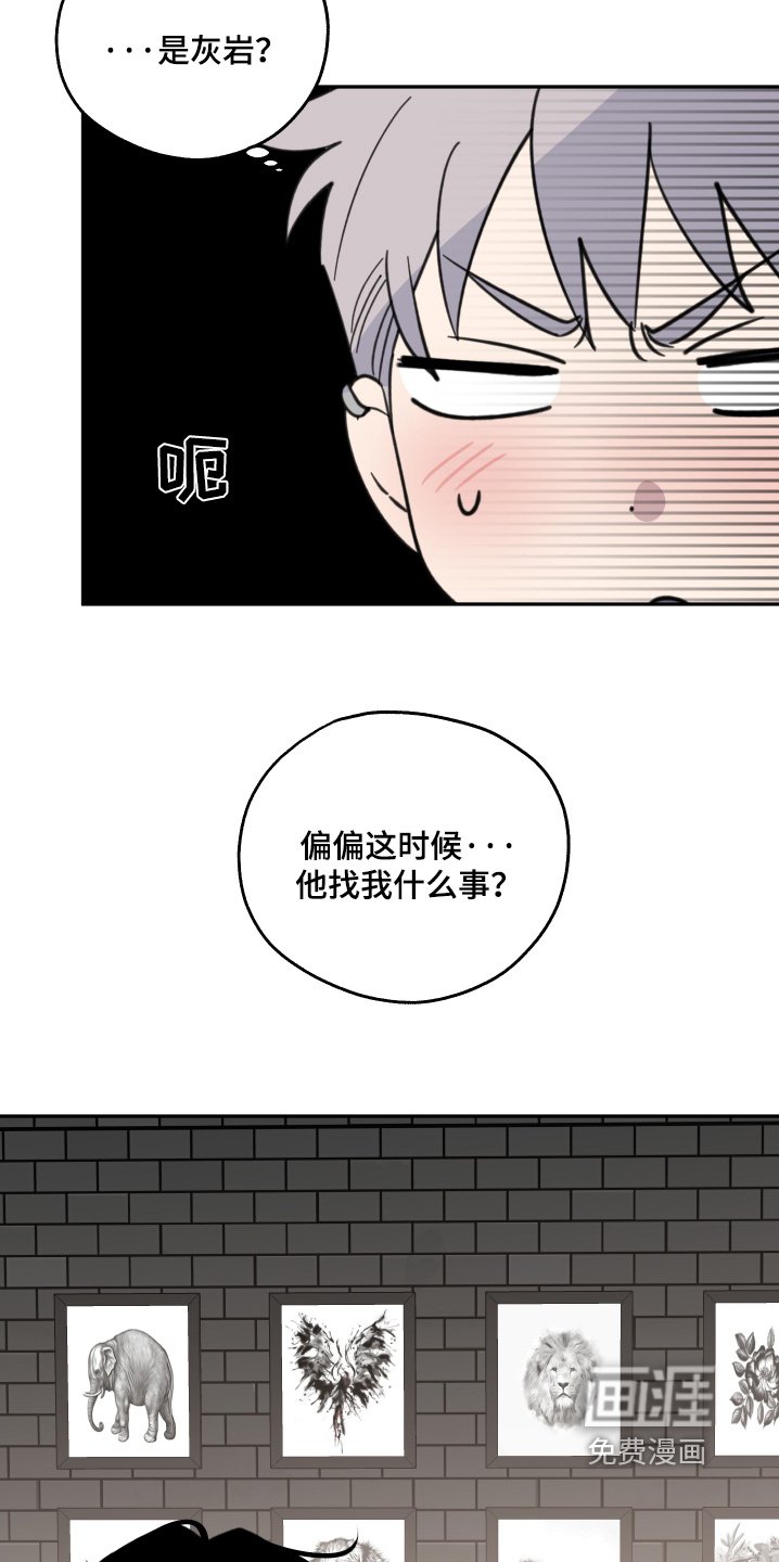 第23章：怎么选