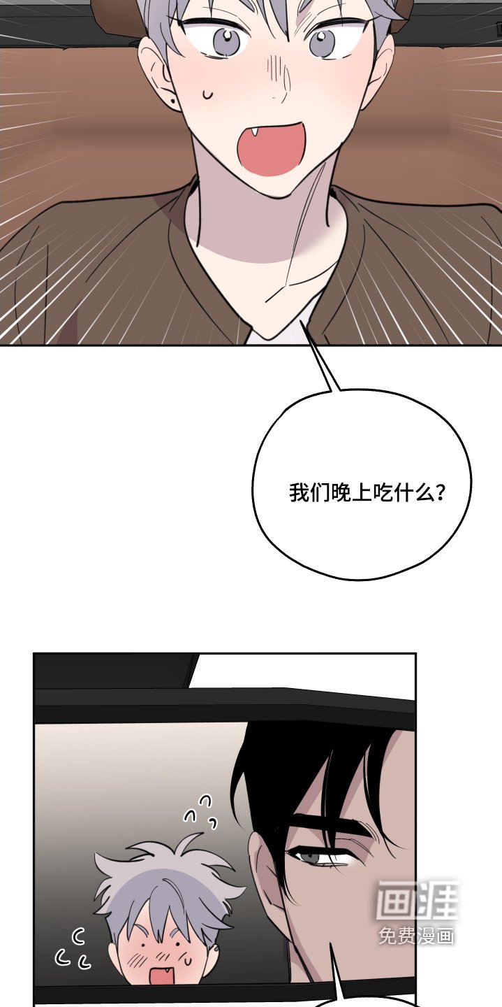 第25章：怎么选择