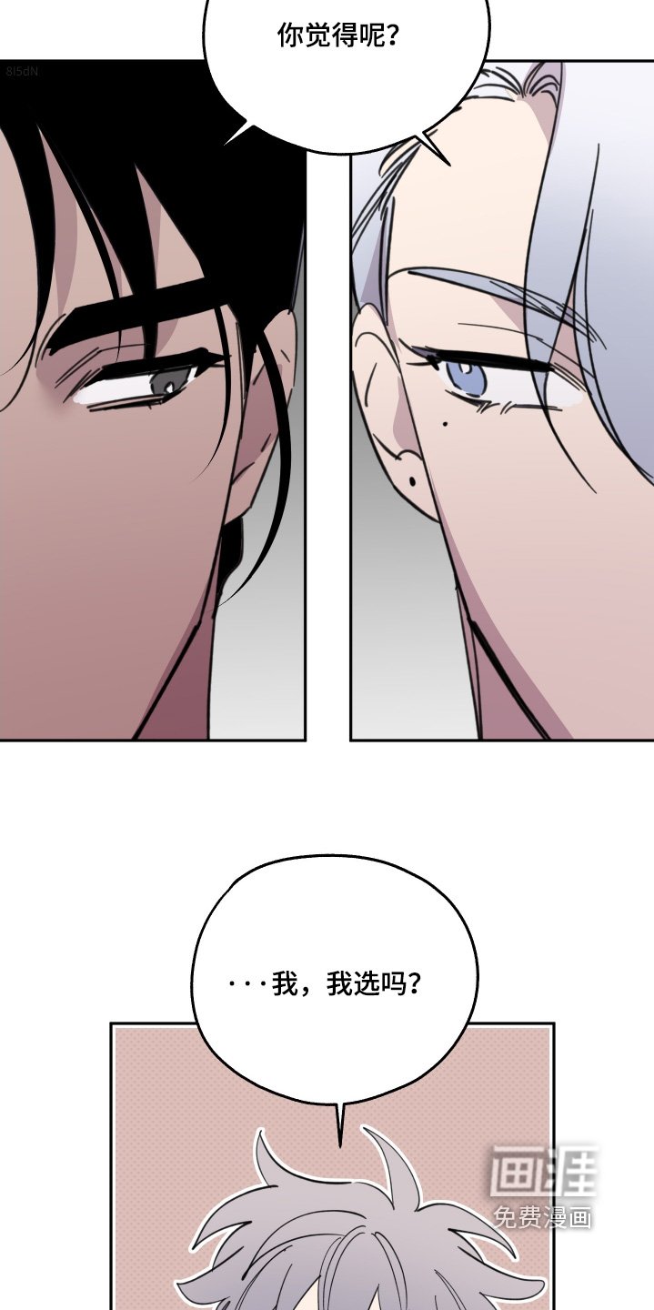 第25章：怎么选择