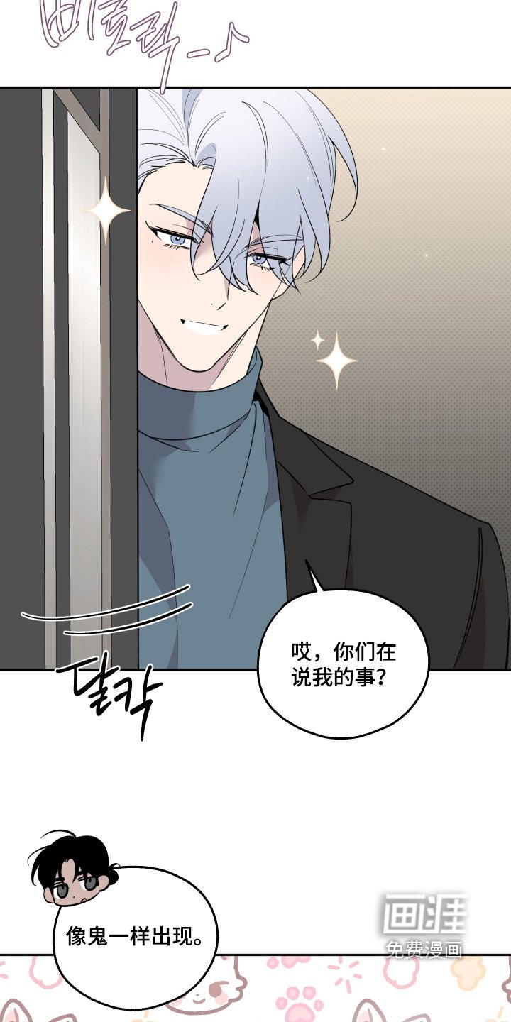第26章：巧克力
