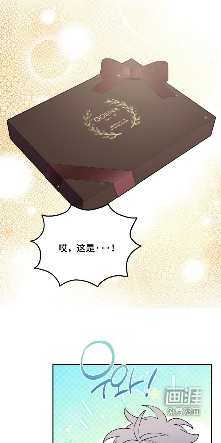 第26章：巧克力