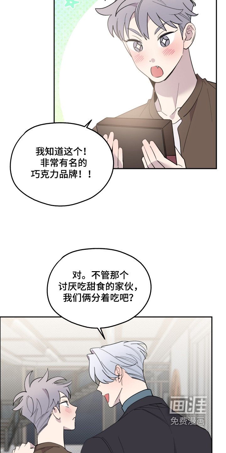 第26章：巧克力