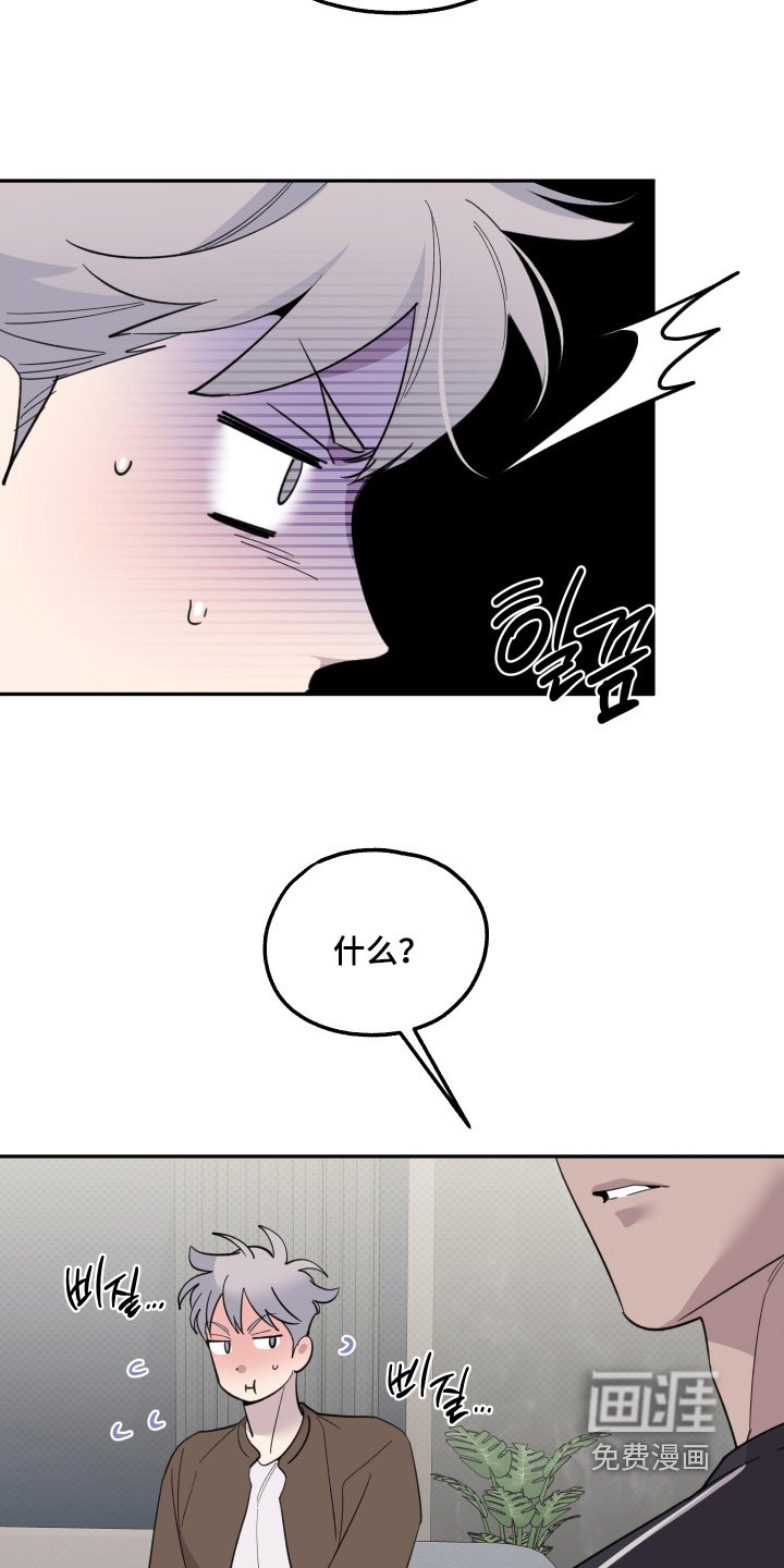 第26章：巧克力