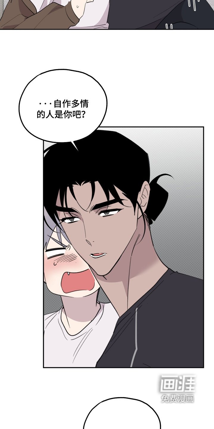 第26章：巧克力