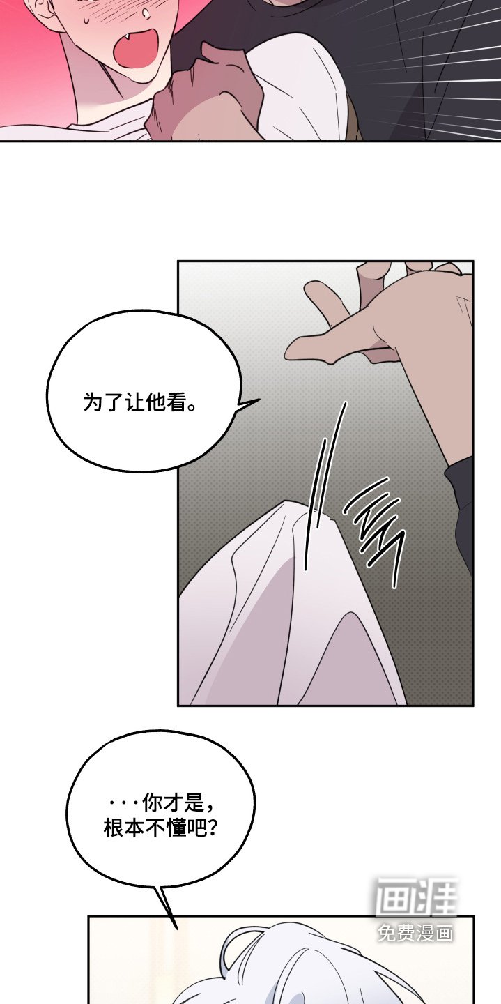第26章：巧克力