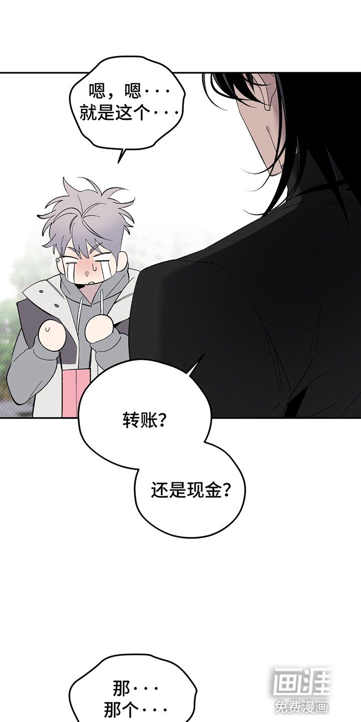 第3章：降价