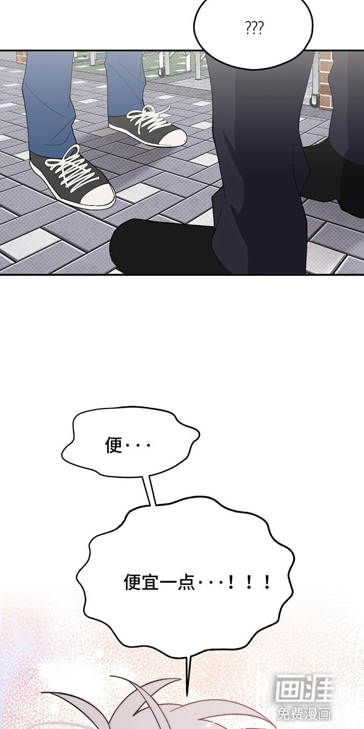 第3章：降价