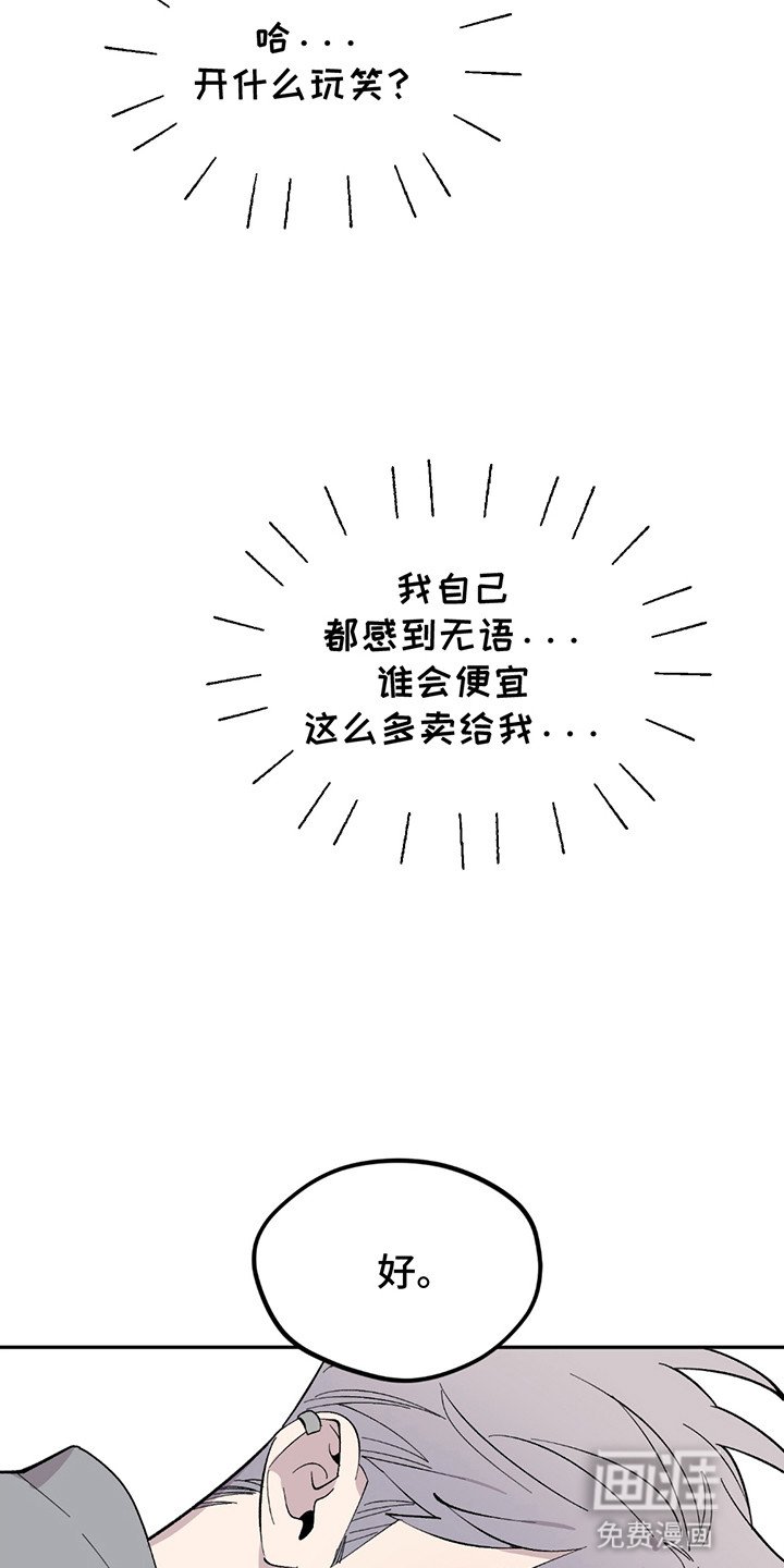 第3章：降价