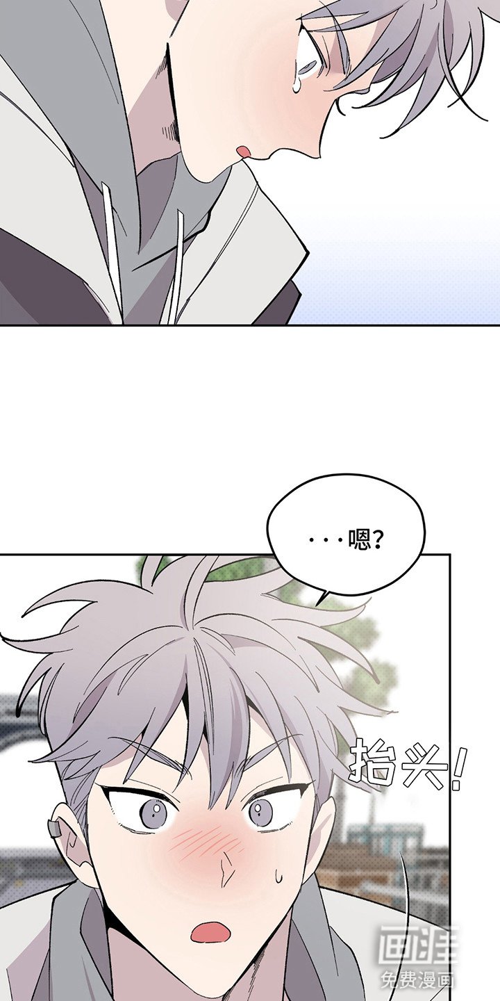 第3章：降价