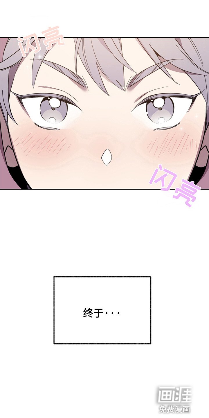 第3章：降价