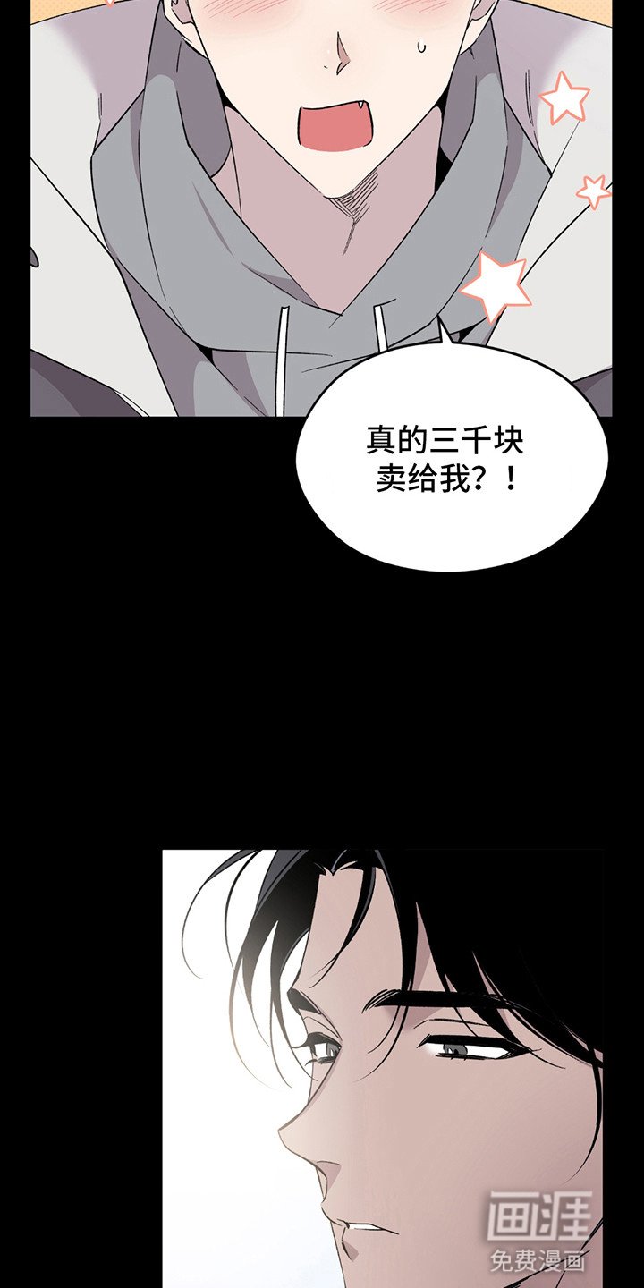 第3章：降价