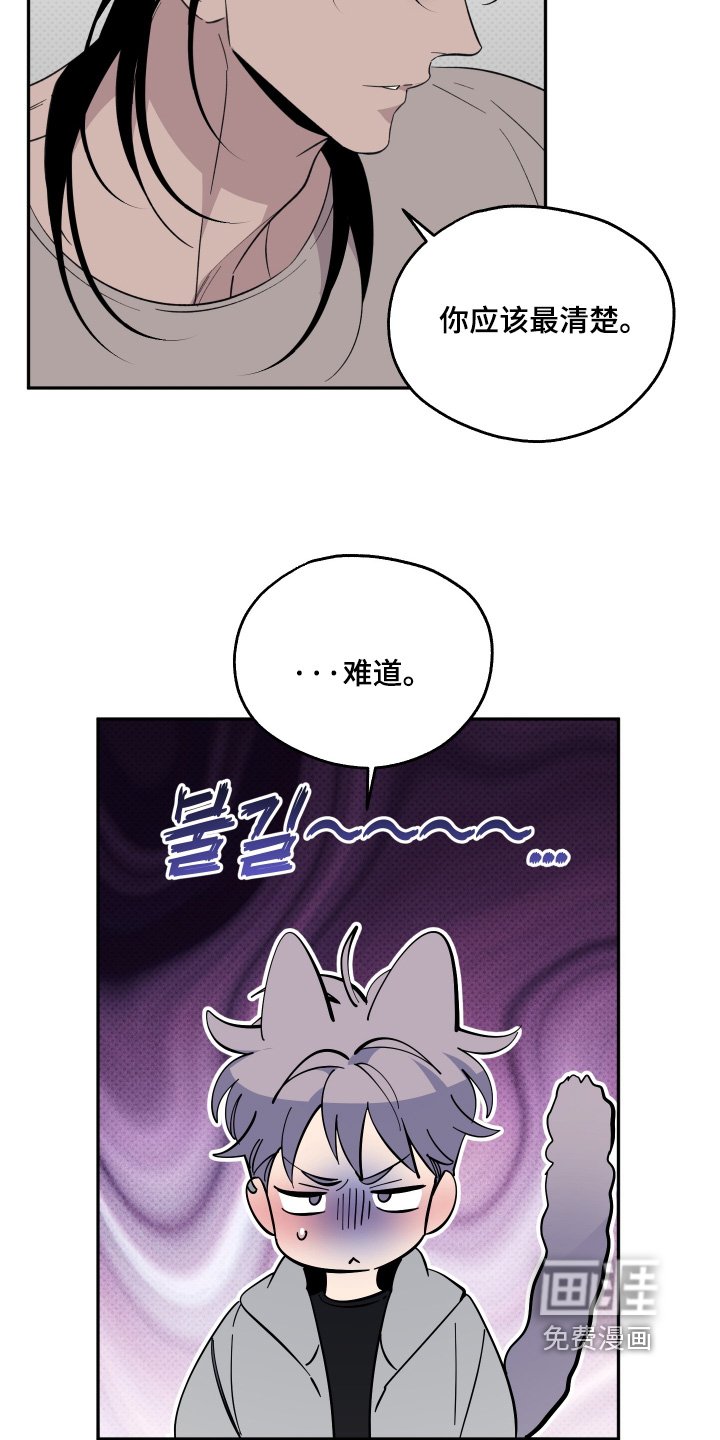 第37章：什么礼物（完结）