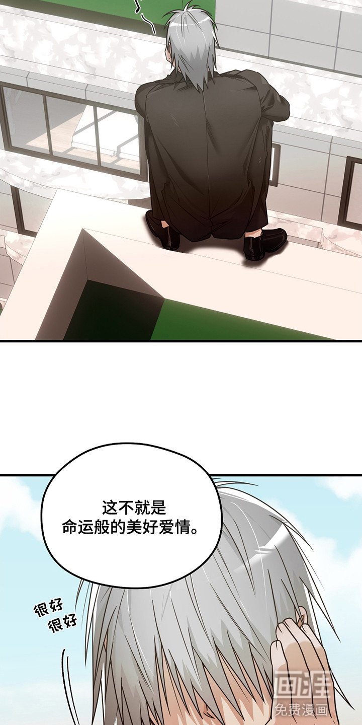 第11章：美好爱情（完结）