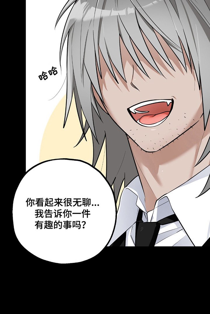第5章：提议