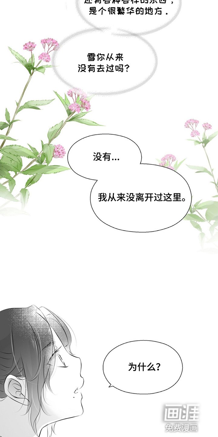 第10章：不会回来了