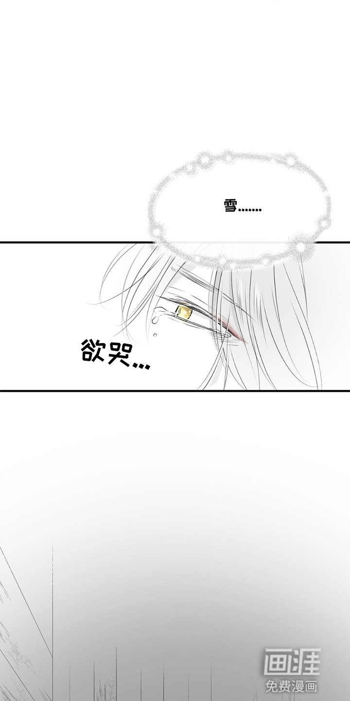 第11章：想念