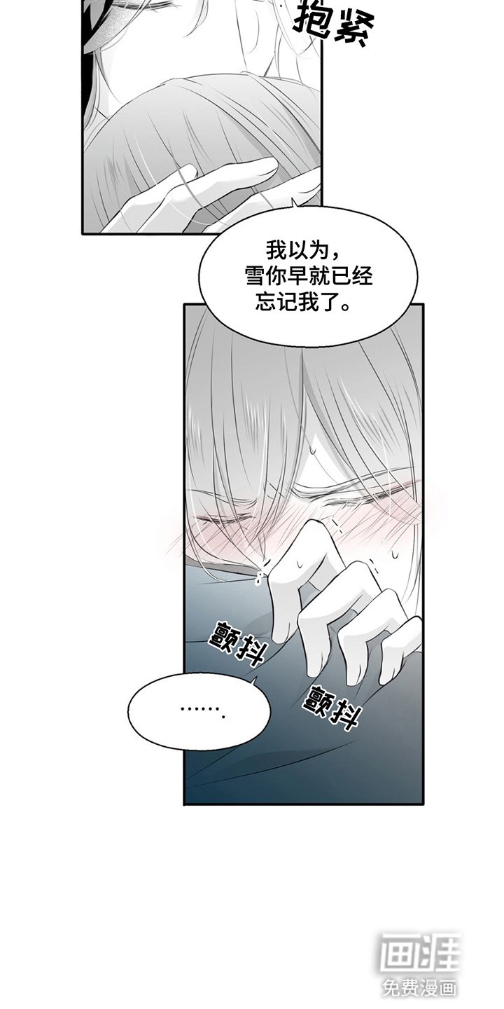 第13章：不要分开