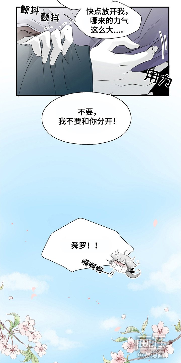 第13章：不要分开