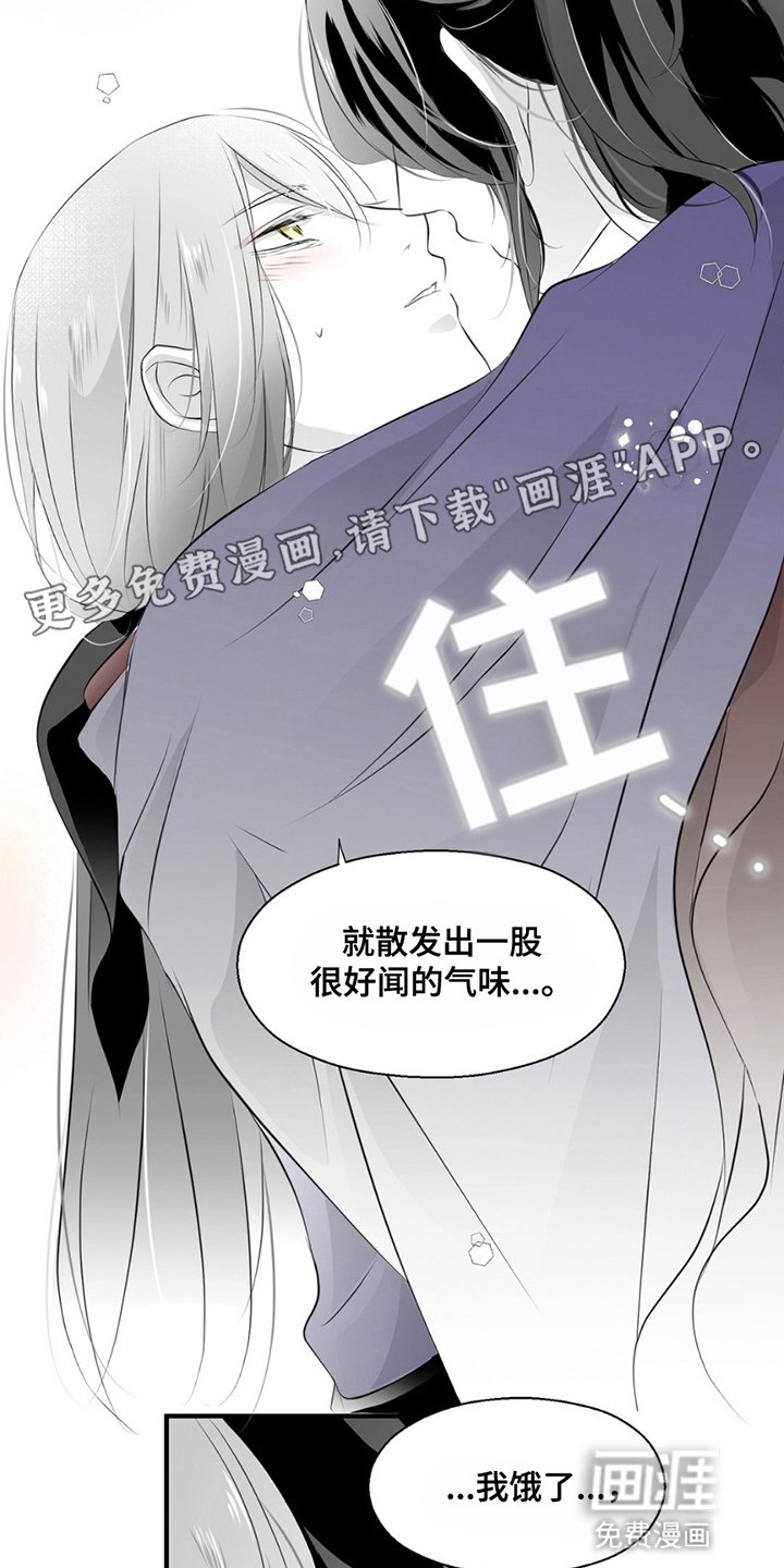 第13章：不要分开