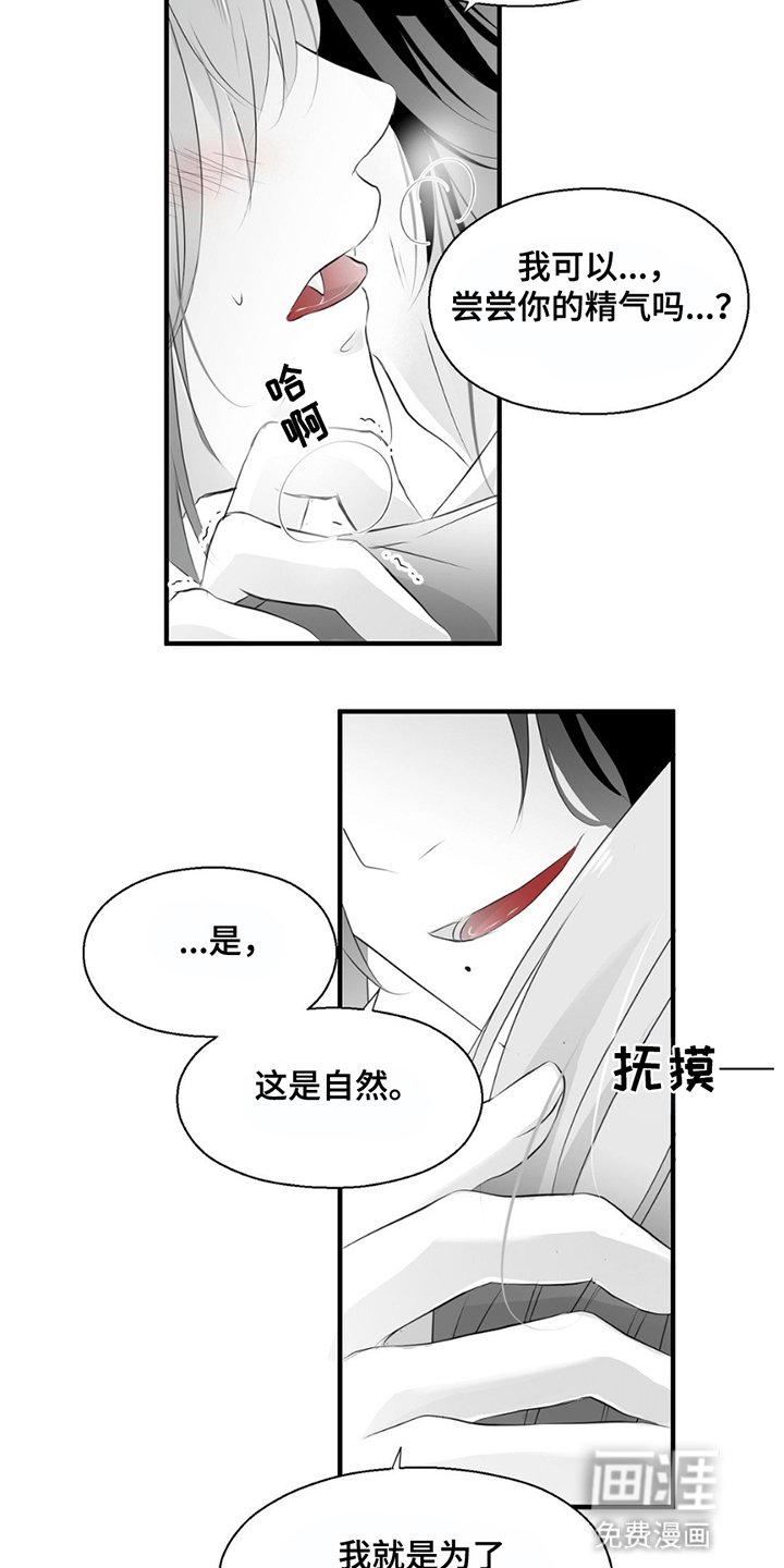 第13章：不要分开