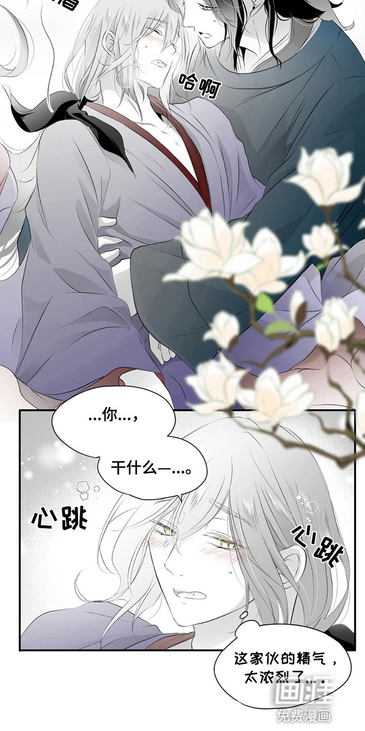 第13章：不要分开