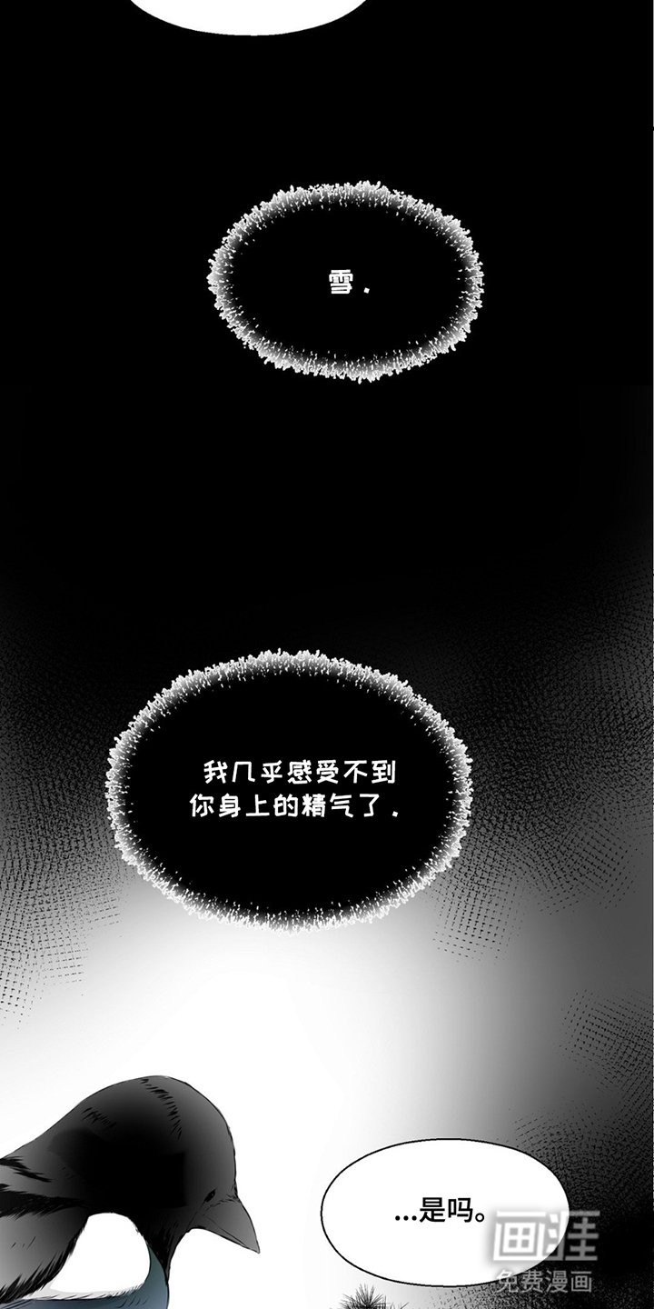 第15章：没有时间了