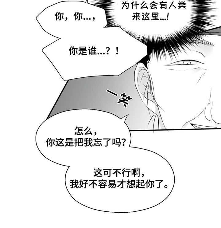 第16章：暴乱