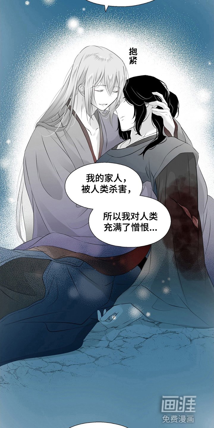 第19章：狐狸的反击