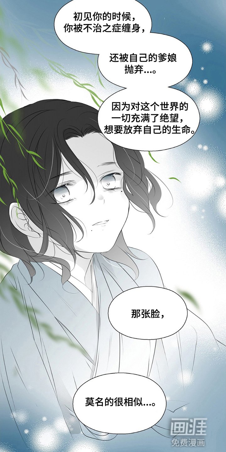 第19章：狐狸的反击