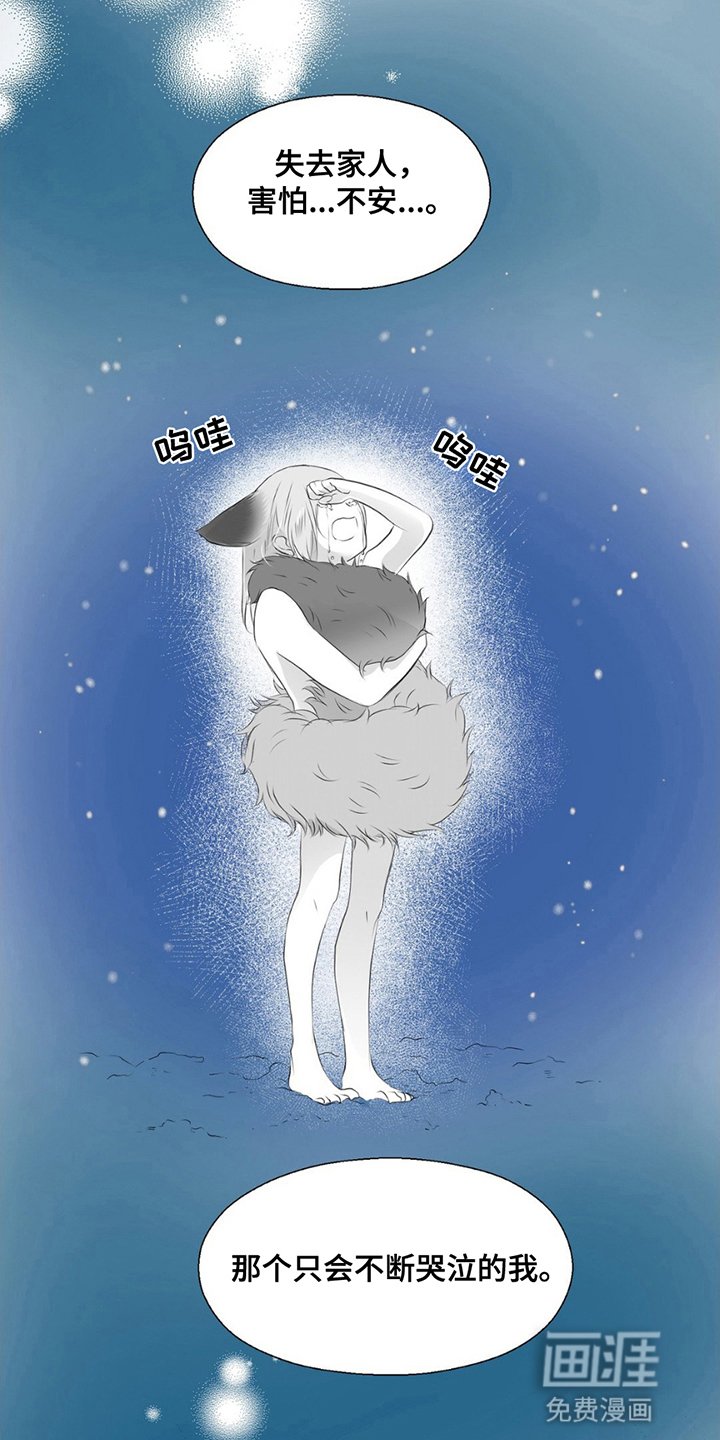 第19章：狐狸的反击