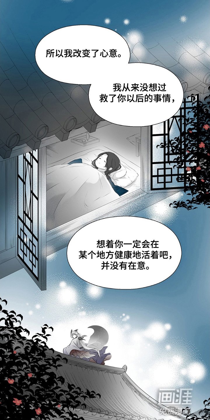 第19章：狐狸的反击
