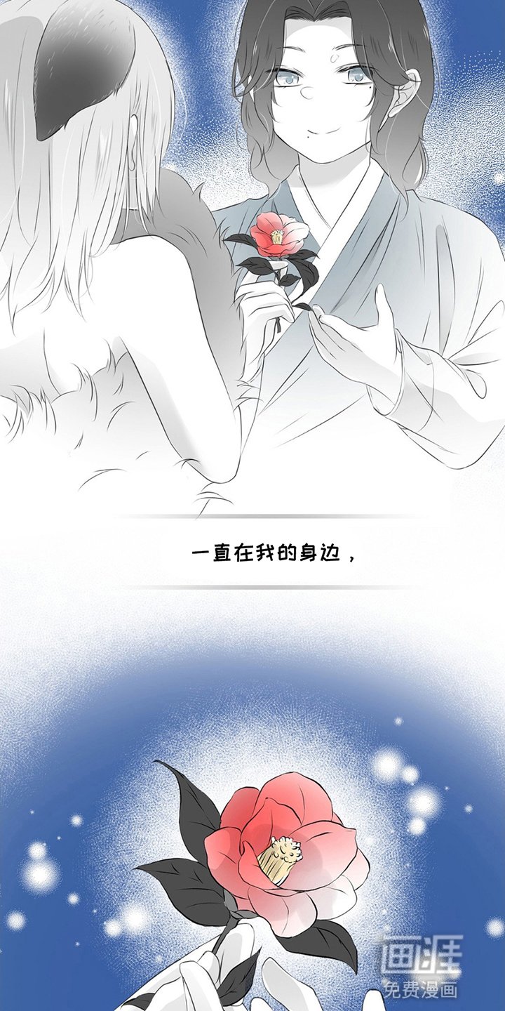 第19章：狐狸的反击