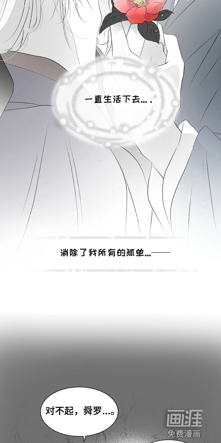 第19章：狐狸的反击