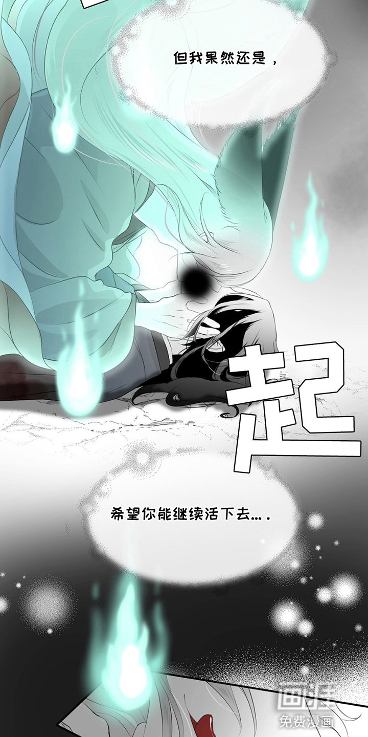 第19章：狐狸的反击