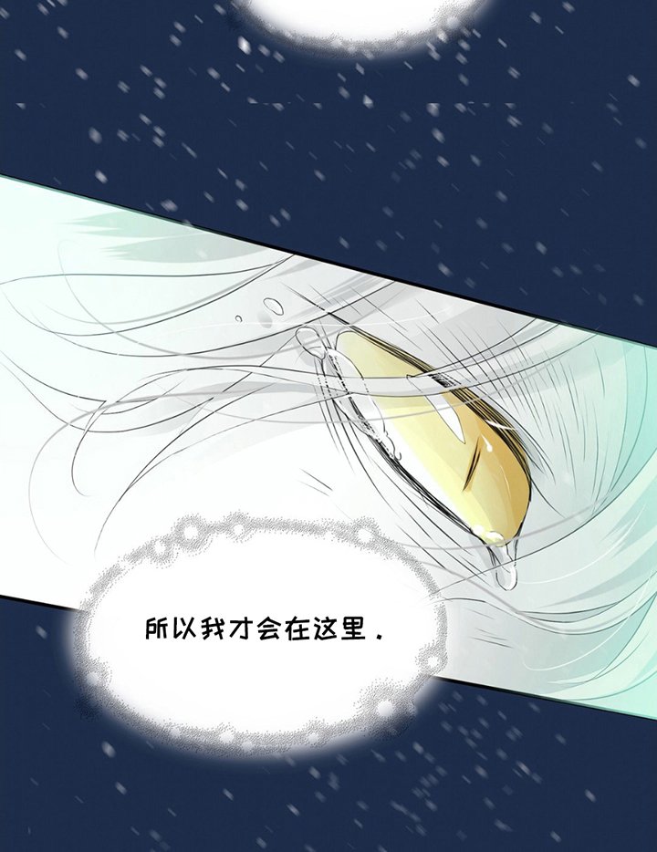 第19章：狐狸的反击