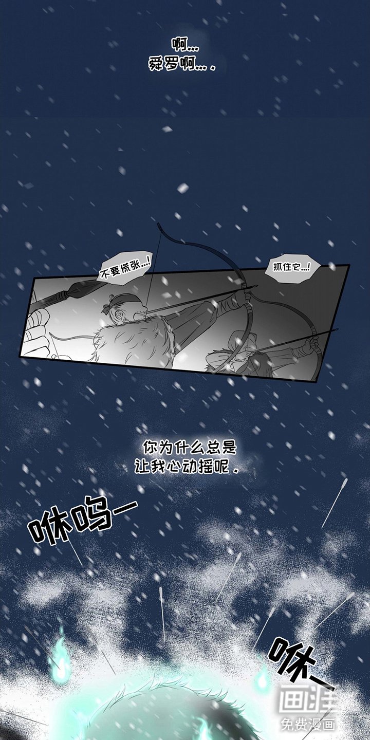 第19章：狐狸的反击