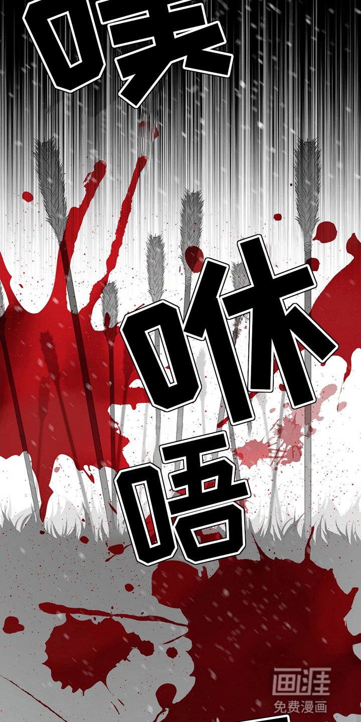 第19章：狐狸的反击