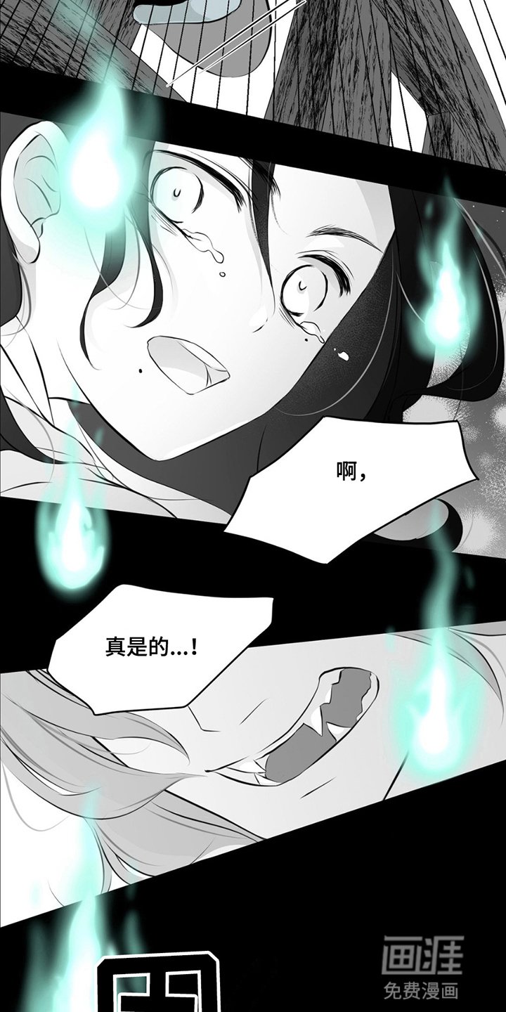 第2章：雪