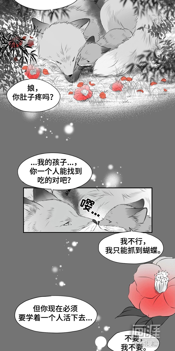 第2章：雪