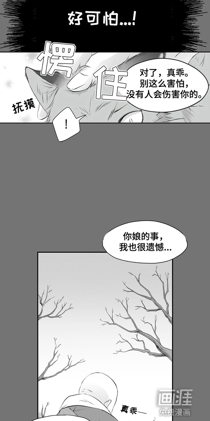 第2章：雪