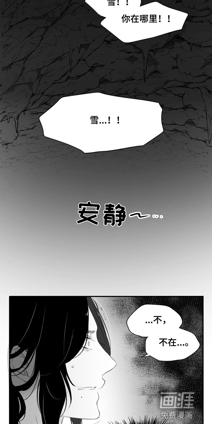 第20章：寻找