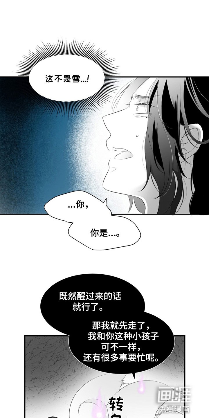 第20章：寻找