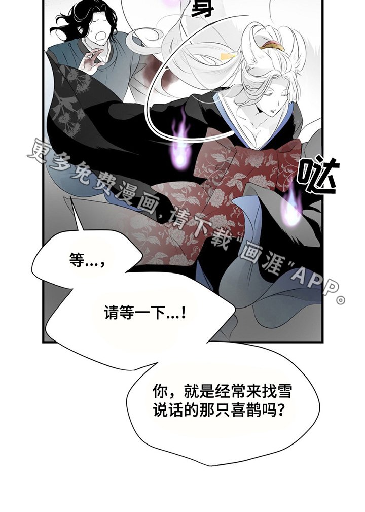 第20章：寻找