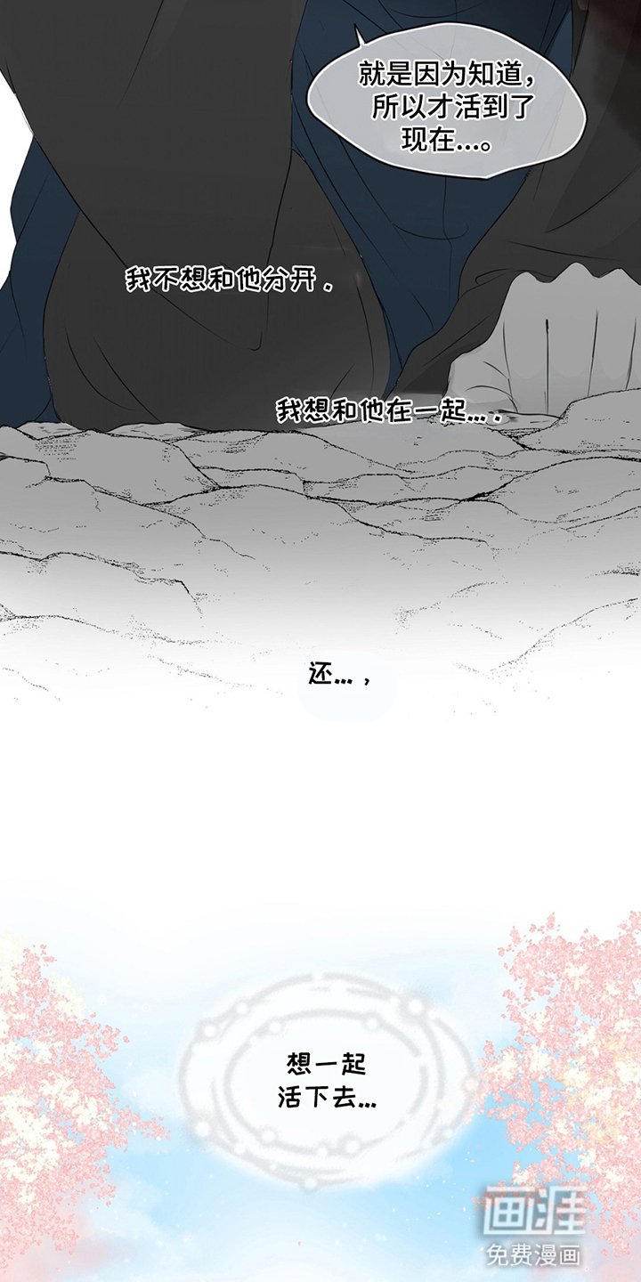 第20章：寻找