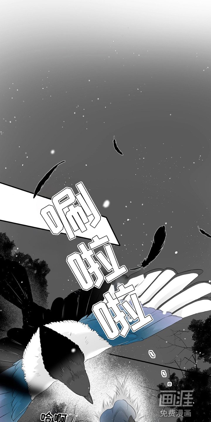 第20章：寻找