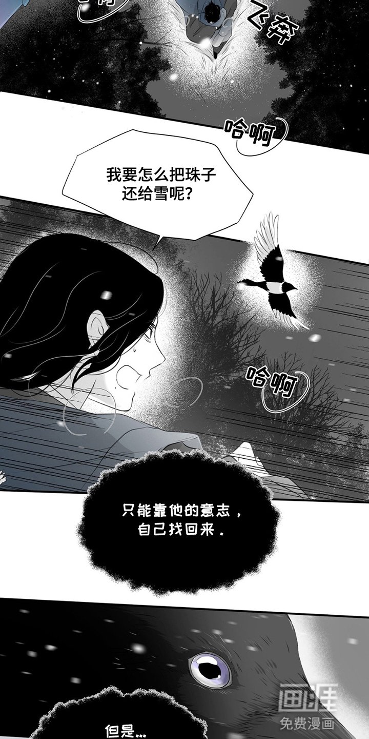 第20章：寻找