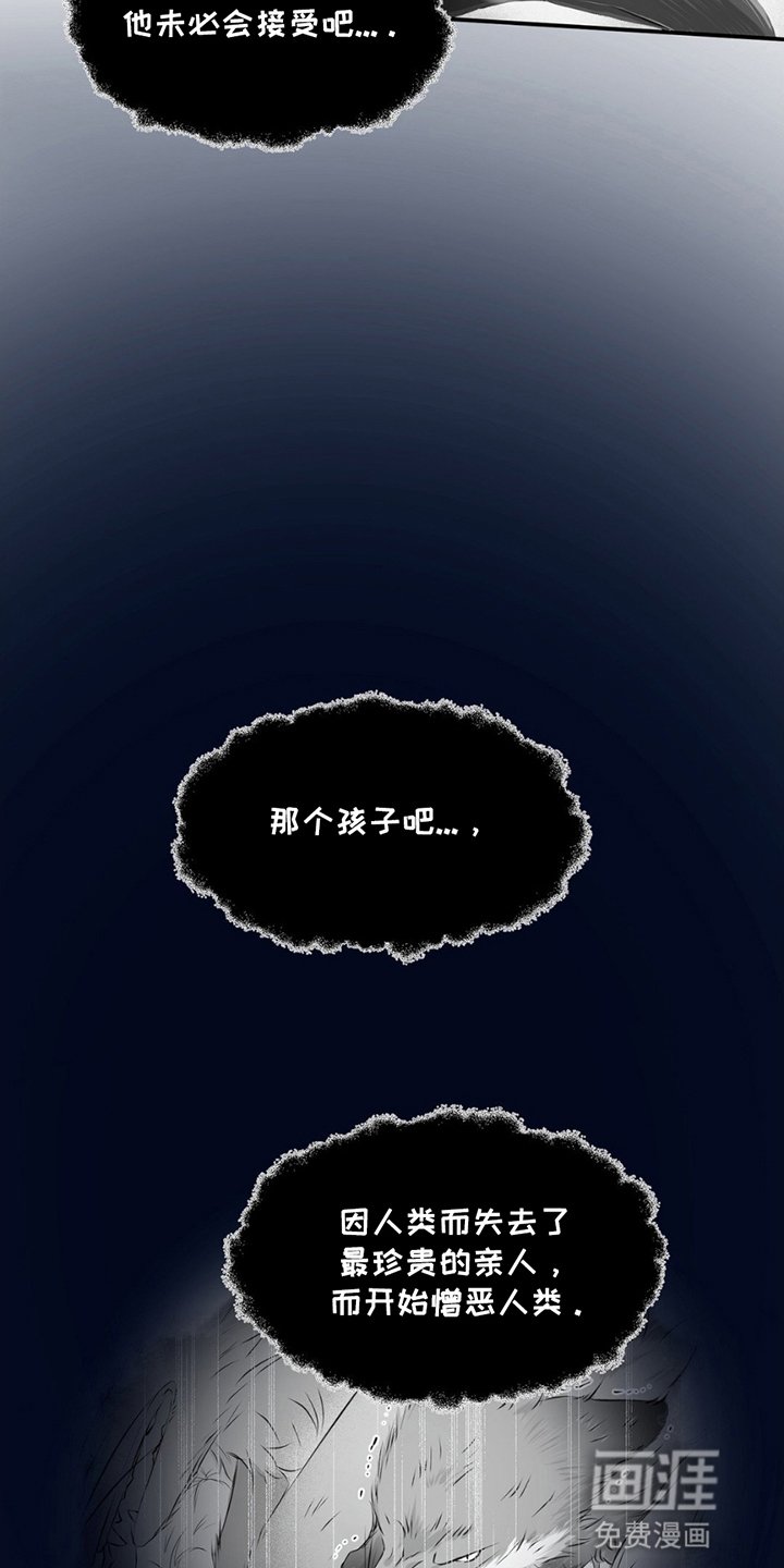 第20章：寻找