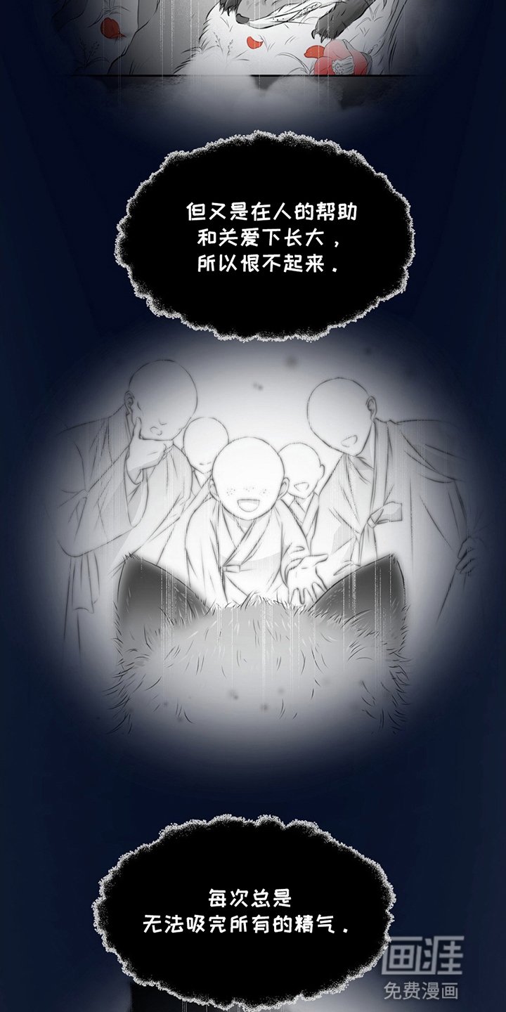 第20章：寻找