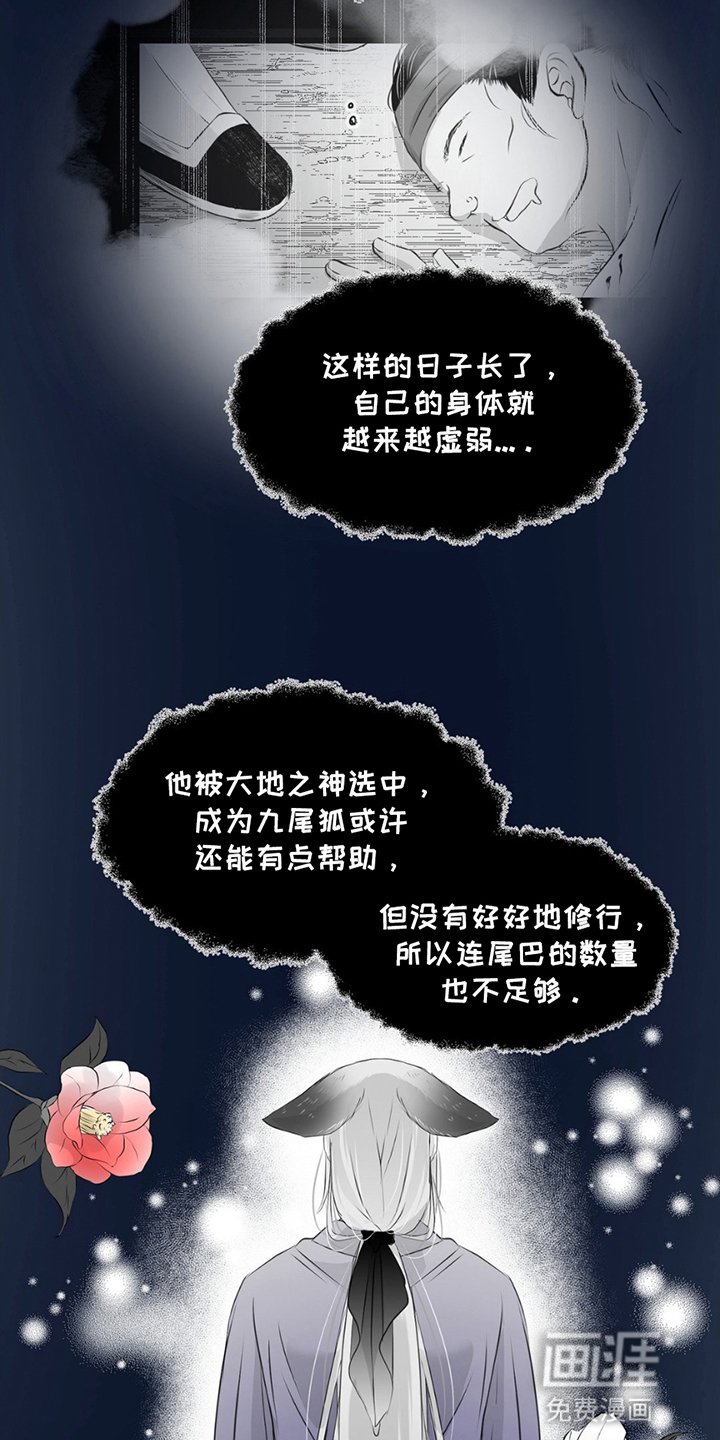 第20章：寻找